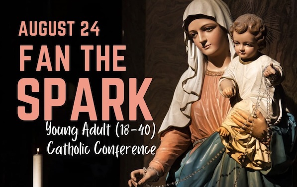 Fan the Spark – Young Adult (18-40) Catholic Conference in De Montfort House,&nbsp;Dublin